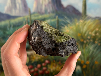 A side of the chunk, with peridotite on top and some large bubble holes in the volcanic rock with a whitish overcoating.