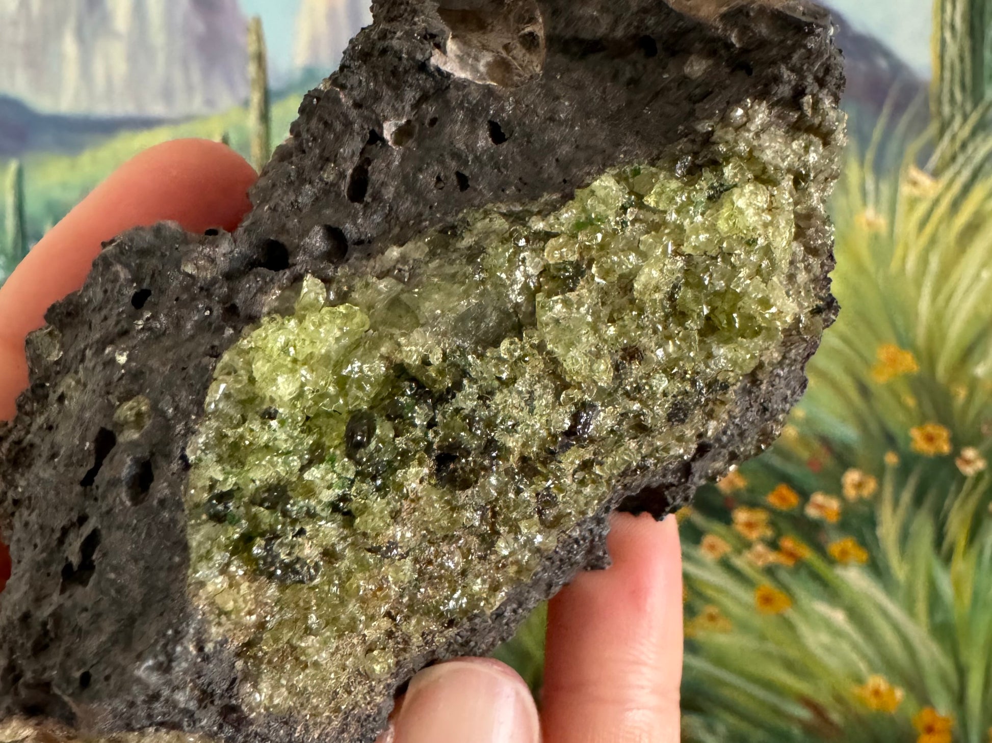 Detail of the most gemmy peridotite on the piece, with some larger light yellow green olivine crystals and some dark spinel and diopside mixed in.