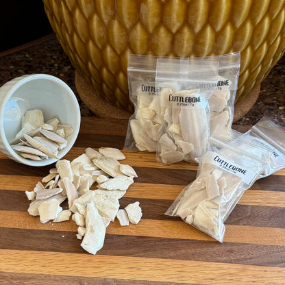 Several small plastic ziploc bags labeled "Cuttlebone 0.25oz / 7g." To the left is a small white bowl on its side pieces of cuttlebone.