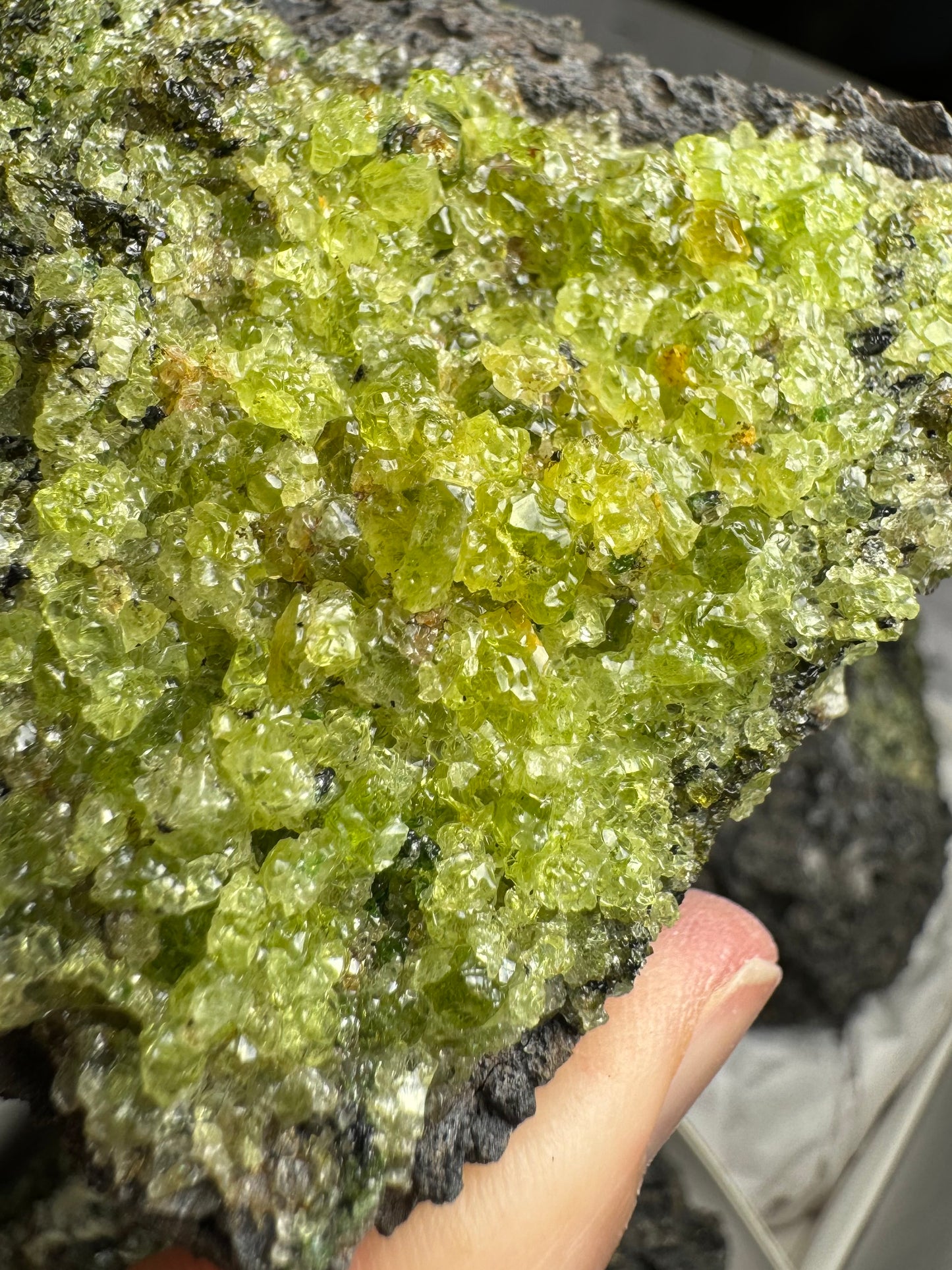 Close detail of the composition of the green minerals. There are large irregular vivid yellow-green crystals of olivine, with very few dark crystals in this section.