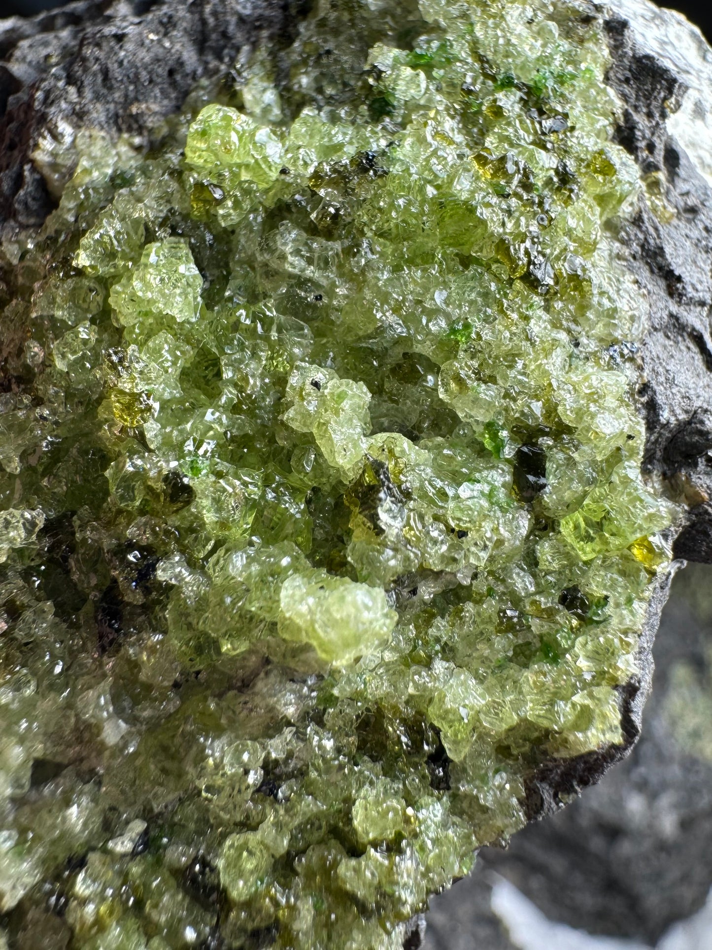 Detail of the lumpy peridotite, with irregular grains of crystals of light yellow-green olivine, with darker spots of spinel and diopside throughout.