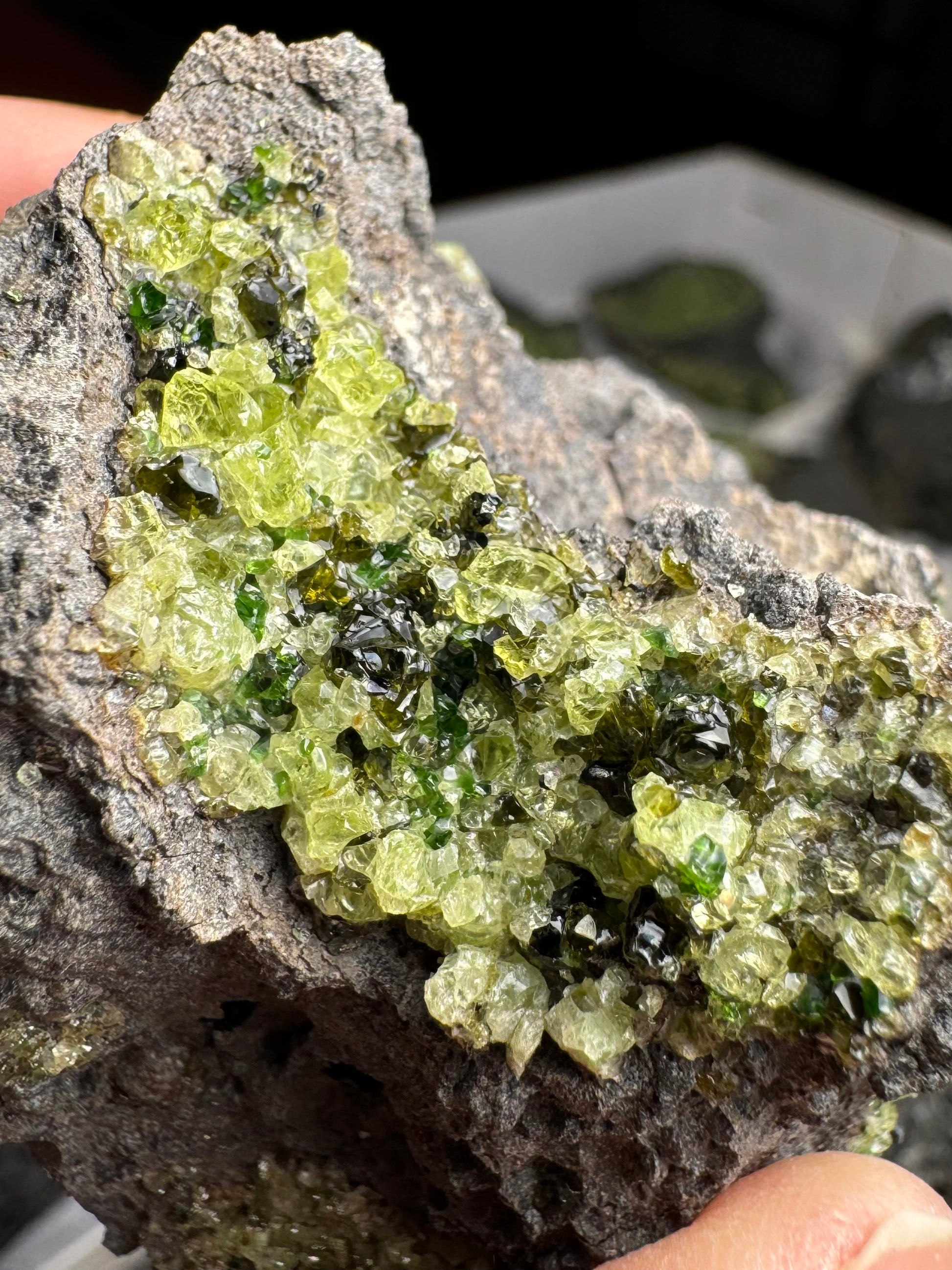 Detail of a section of the green minerals with large gemmy crystals of green-yellow olivine, dark forest green spinel, and vivid green diopside.