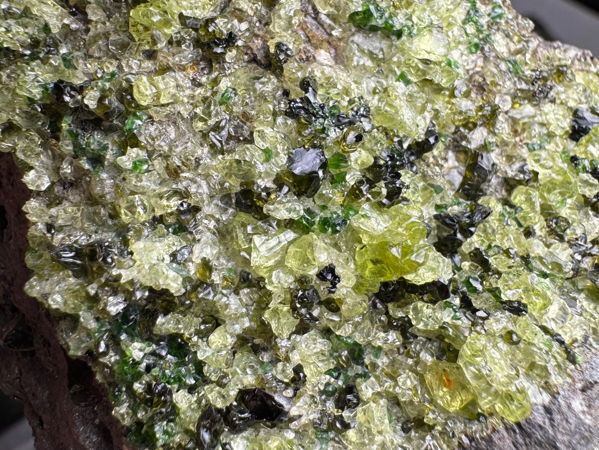 Close detail of the bumpy irregular crystal mass, heavy with olivine and plenty of spinel and diopside.