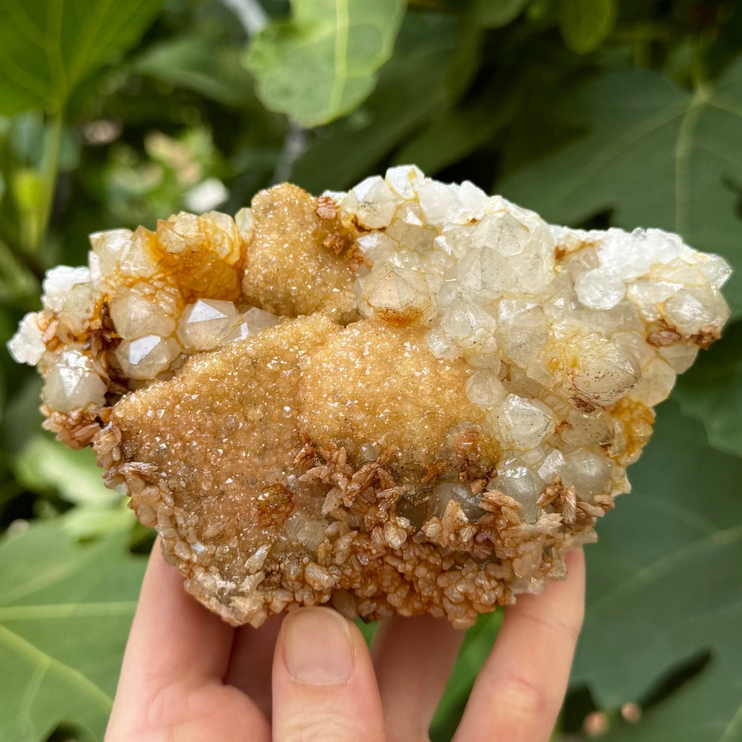 A well-composed fanning wedge-shaped mineral specimen with two square formations and a spherical one covered with light golden-tan druzy, and surrounded by larger white quartz crystals.