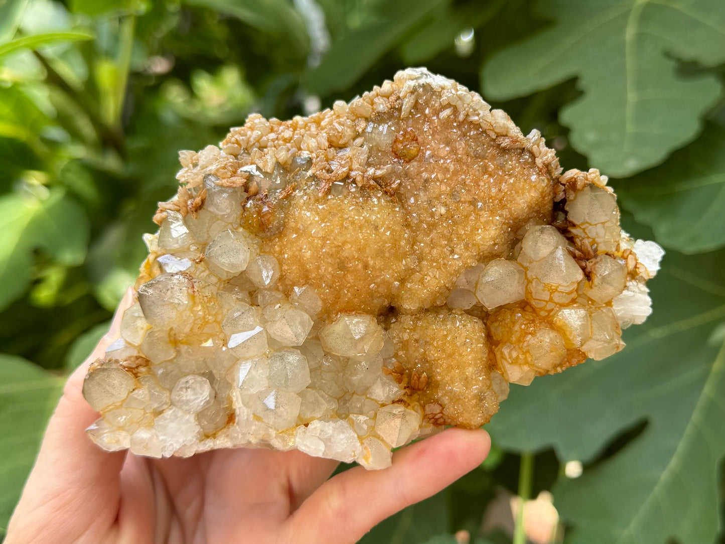 Another angle view of the mineral specimen, quite large in a hand.