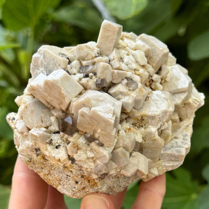 Full view of a microcline specimen in indirect sunlight, held in a hand for scale and as large as the hand. It is off-white with blocky crystals angled in different directions.