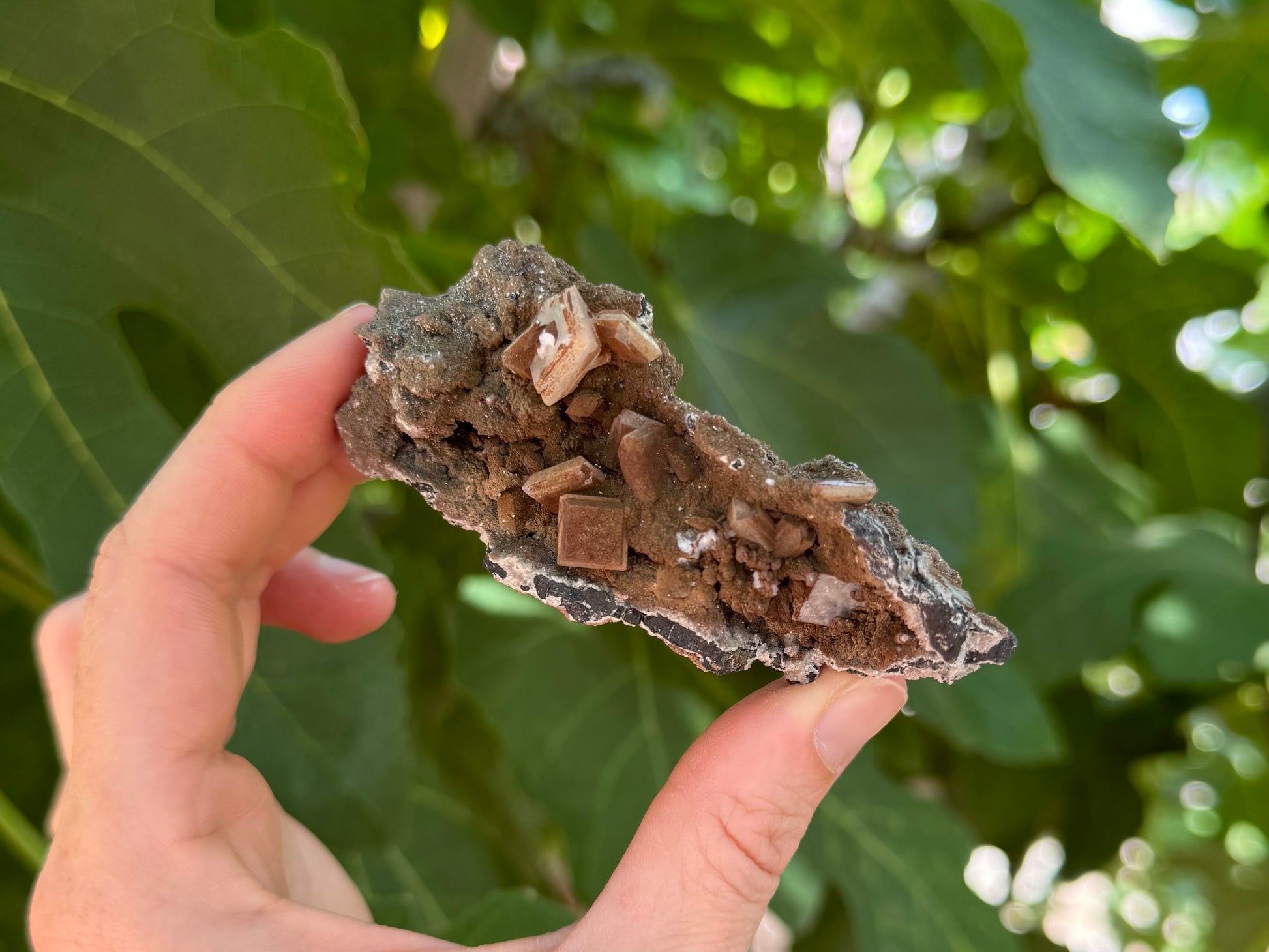 The piece held between thumb and finger for scale, showing the side covered in square tabular crystals in indirect sunlight. The luster is matte.