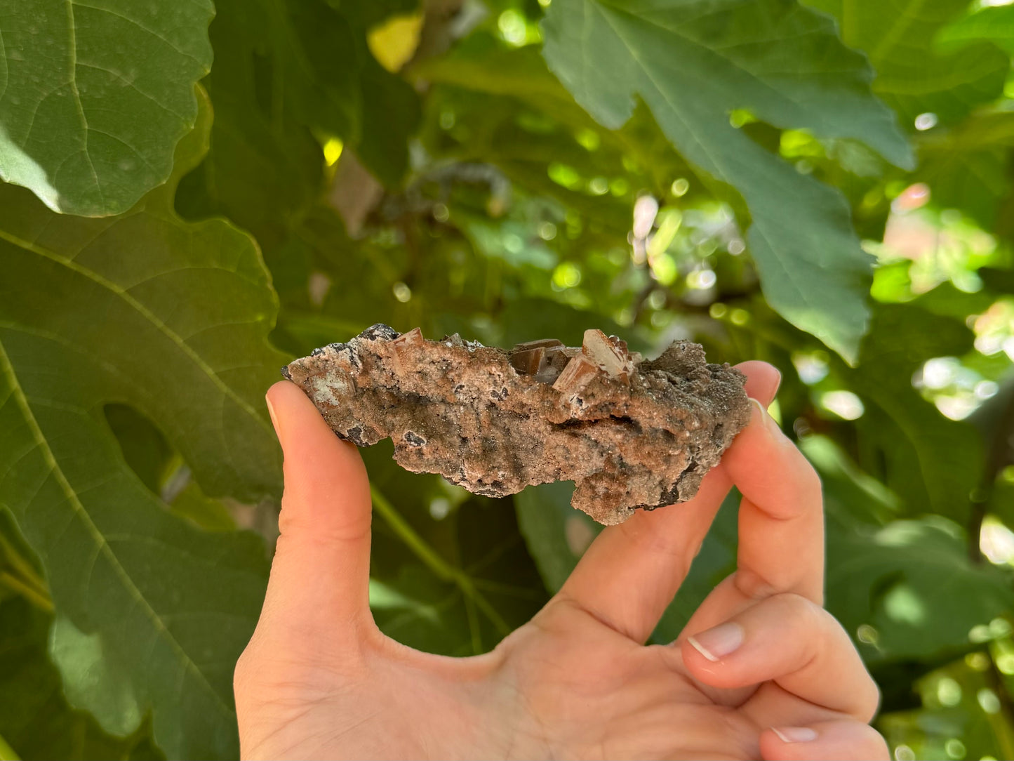 The piece held between thumb and finger for scale, showing the brown-dusted druzy side in indirect sunlight. It is a light brown color without much glitter