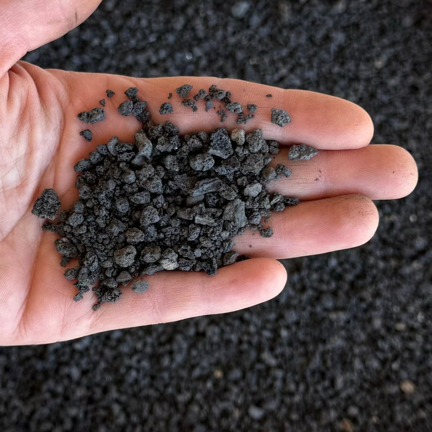 A hand full of black lava gravel, small angular pieces of porous rock. The smallest are the size of sand grains, while the largest are around a centimeter.