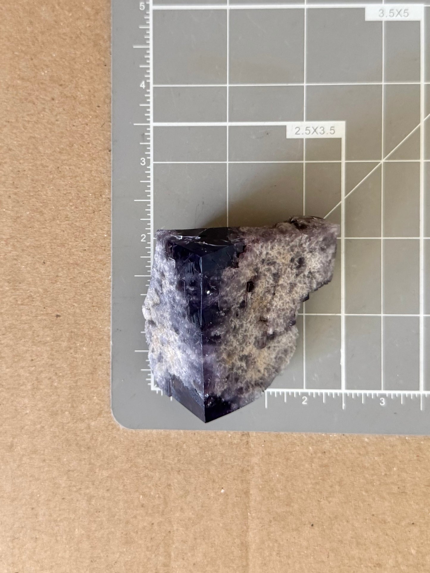 Scale image of the specimen on a measuring mat, measuring about two inches square.