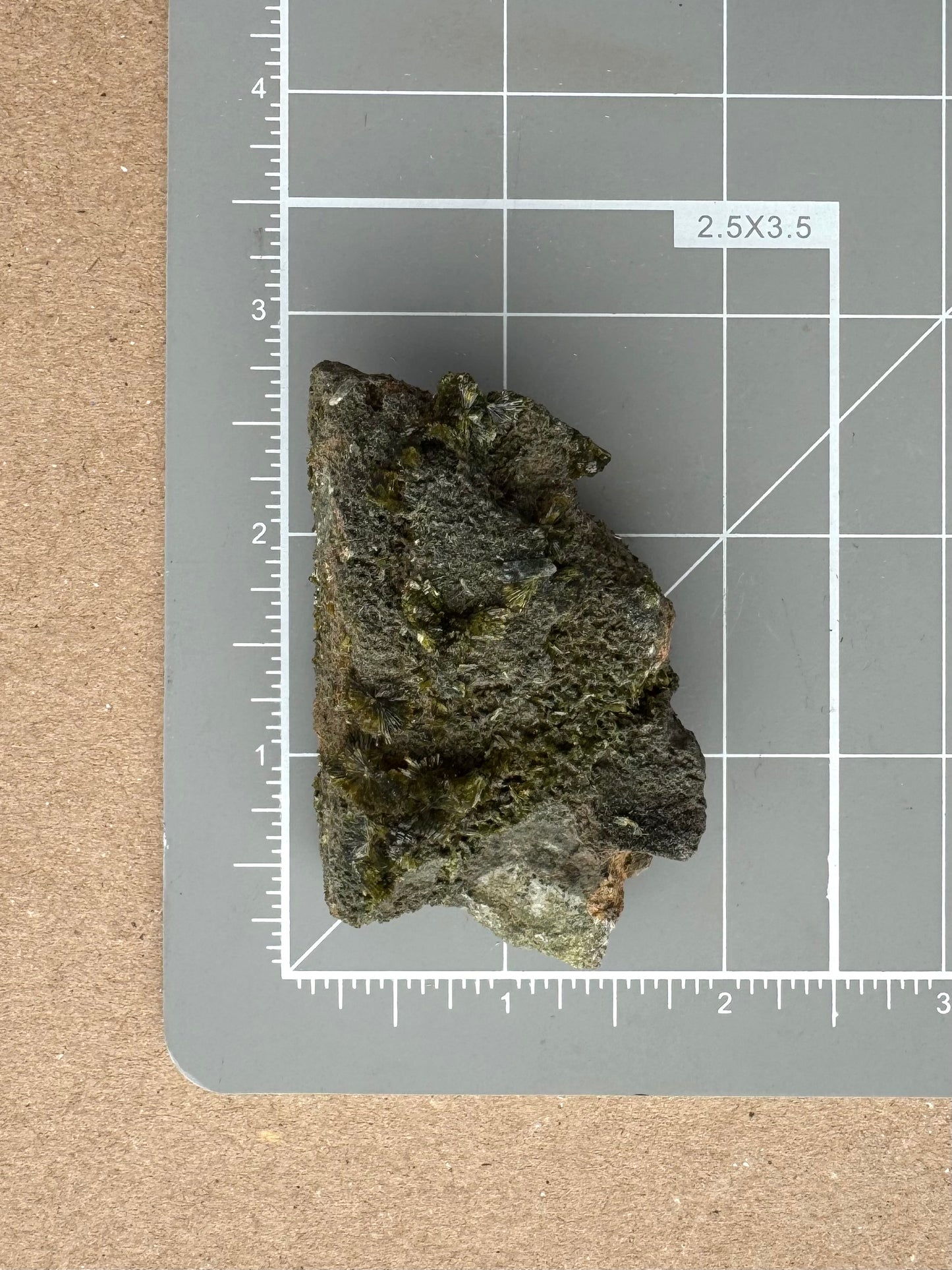 Scale image of the specimen on a measuring mat, measuring about two and a quarter inches long by an inch and a quarter wide.