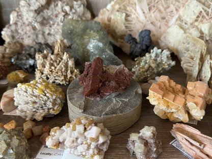 The specimen in a mineral cabinet, illustrating its relatively small scale and saturated brick red color.