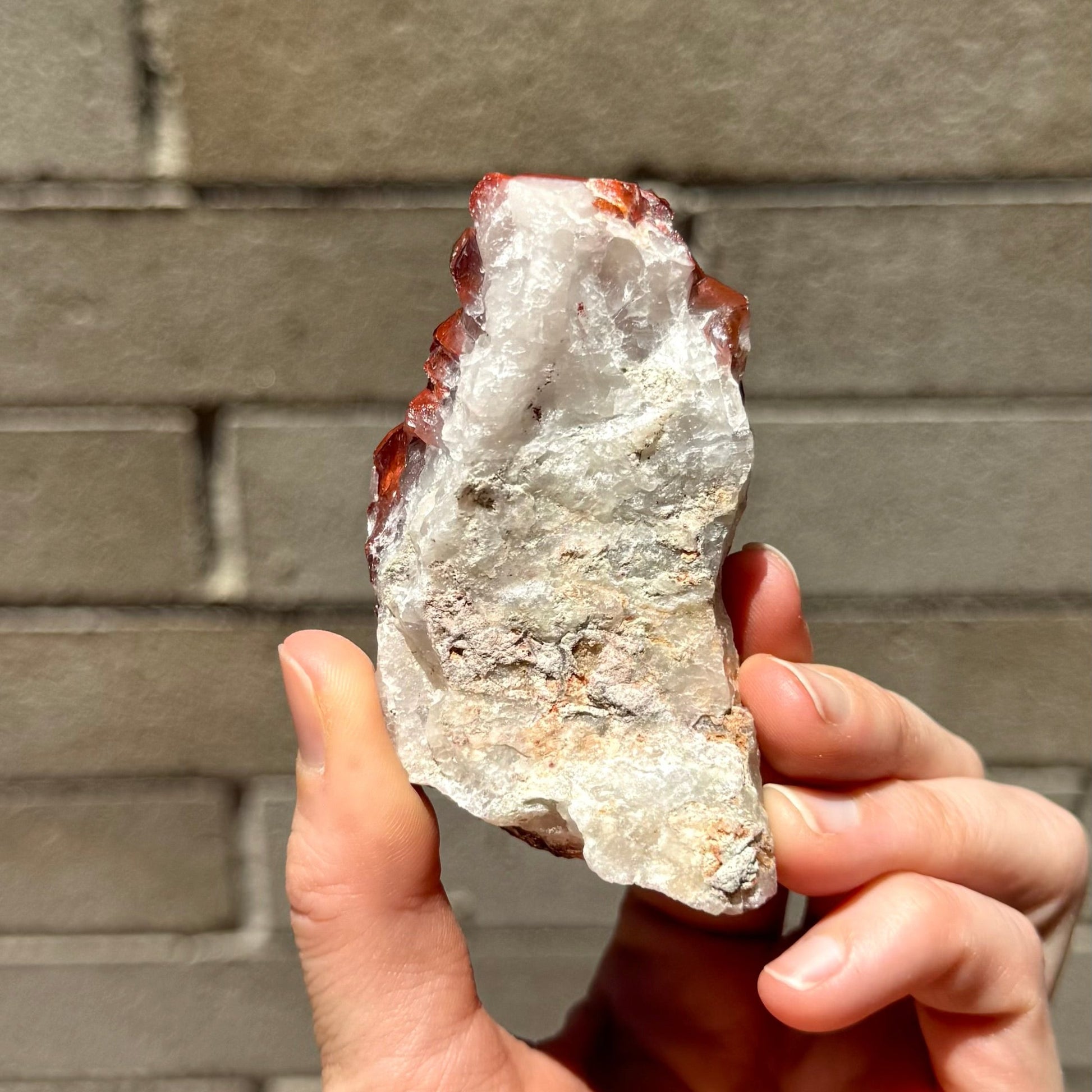 The underside of the specimen, a rough white quartz aggregate.