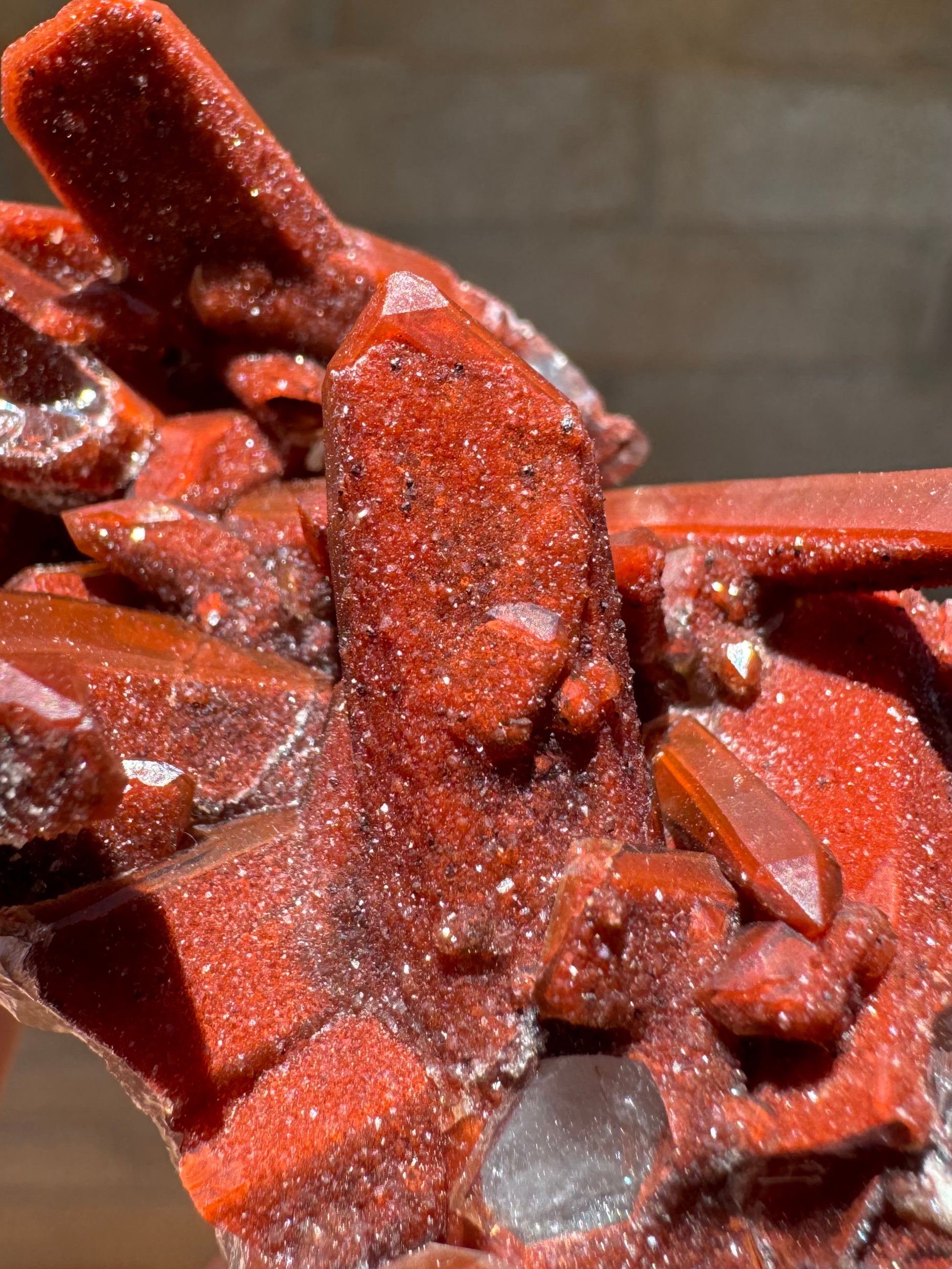 Detail of a wide red quartz point with vibrant red color in full sunlight. It is covered with a red druzy with black spots in it.