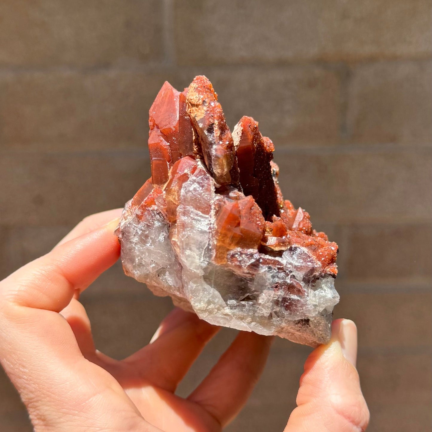 Side-view of the specimen, with a white quartz base that turns deeper red-orange at the tips of crystals.