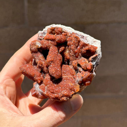 Angled view looking down at the front of the specimen, with shadows highlighting the structure of the quartz points. The druzy glows near red in sunlight with the black pepper spots visible