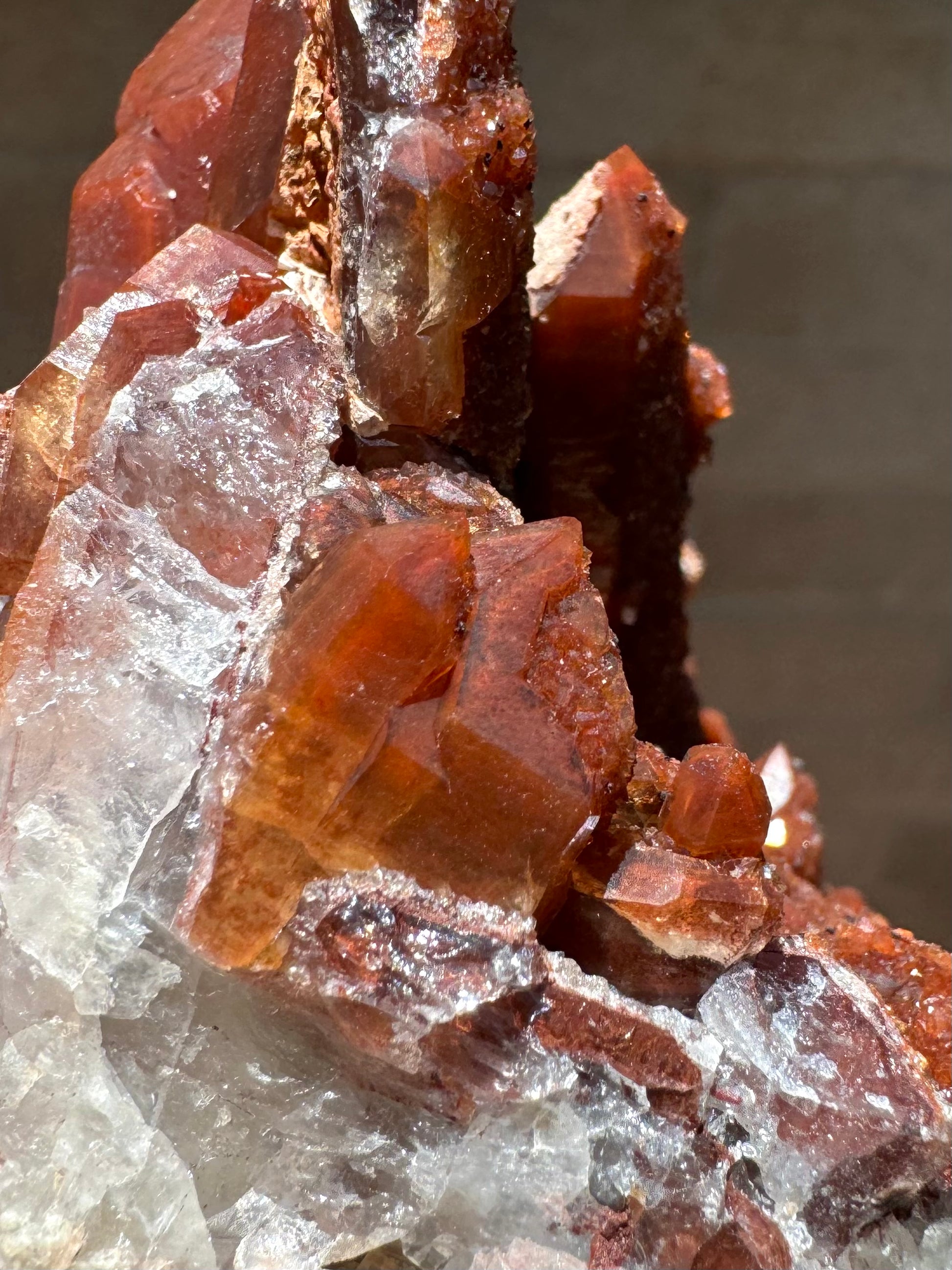 Detail of points along the edge of the specimen, with some hexagonal cross-sections of broken crystals visible.