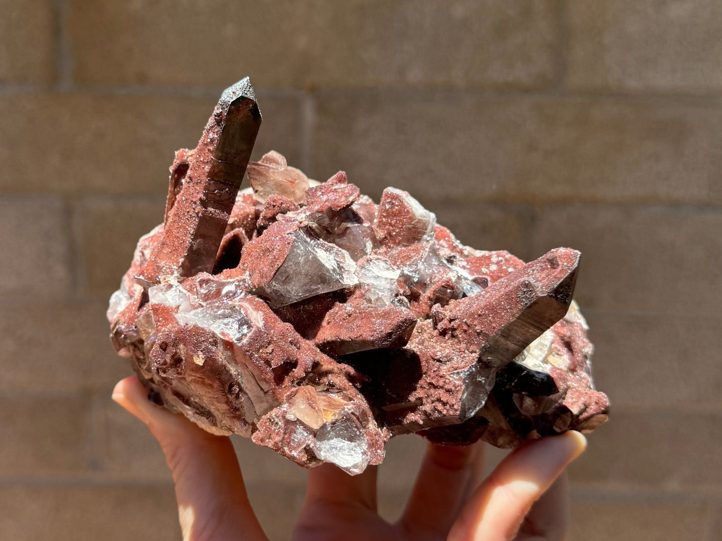 Full view of a red quartz specimen in direct sunlight, a cluster with one large point sticking out of each end and a mash of druzy, points, and broken crystals between.