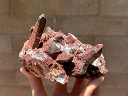 Full view of a red quartz specimen in direct sunlight, a cluster with one large point sticking out of each end and a mash of druzy, points, and broken crystals between.