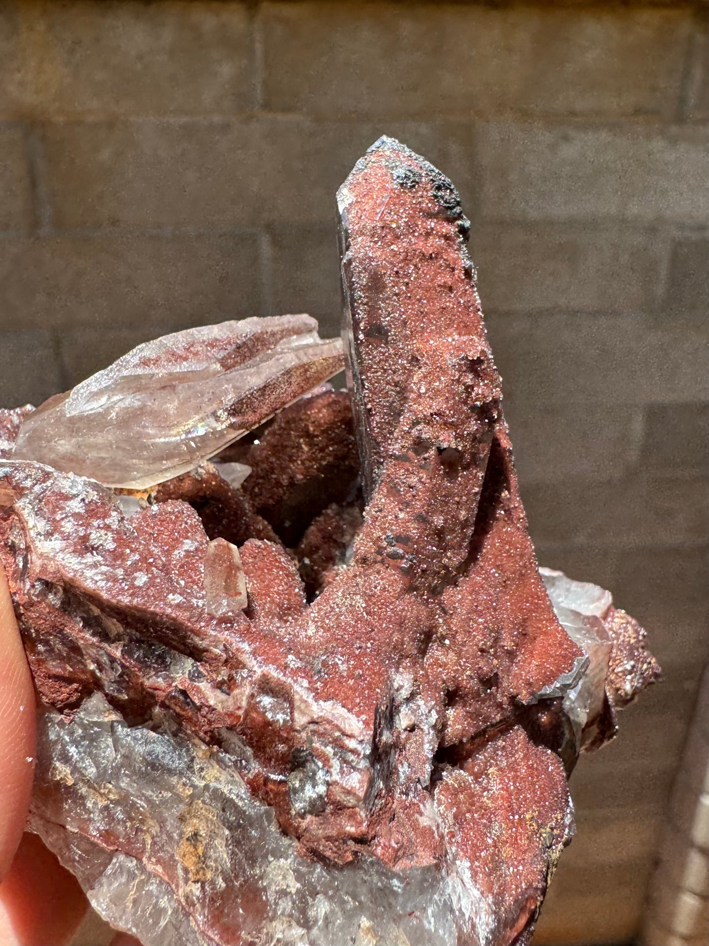 Detail of the main point, costed by dark red-brown druzy on this side and topped with black mineral. A second smaller crystal intersects with the larger point, and is also covered in druzy.