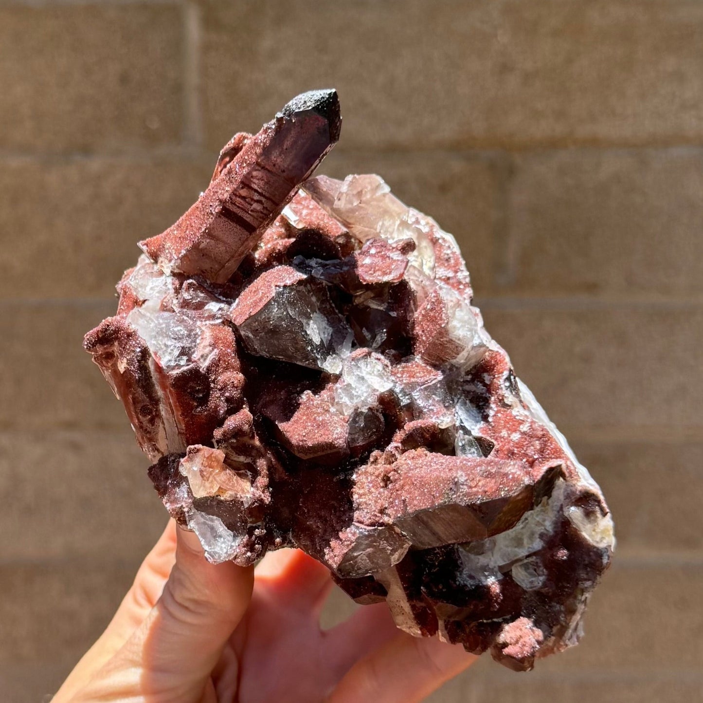 The specimen at an angle, showing the points have some translucency, with colorless growth under a layer included with dark red quartz. The tips of some points are covered in black mineral.