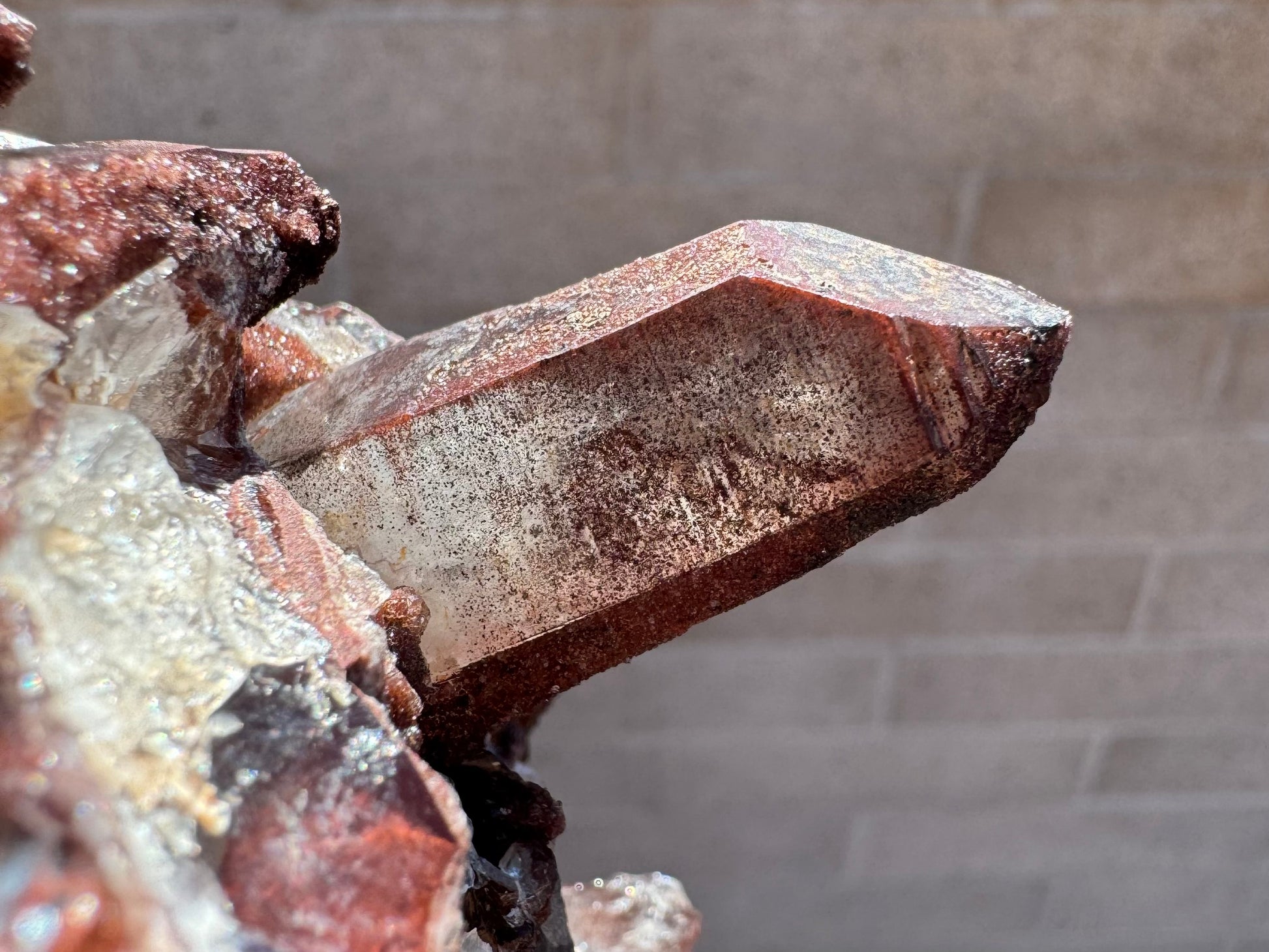 Detail of a well-formed stubby quartz point, with colorless inclusions illuminated inside and a heavy layer of small dark red dots under the surface, slightly arranged along horizontal planes