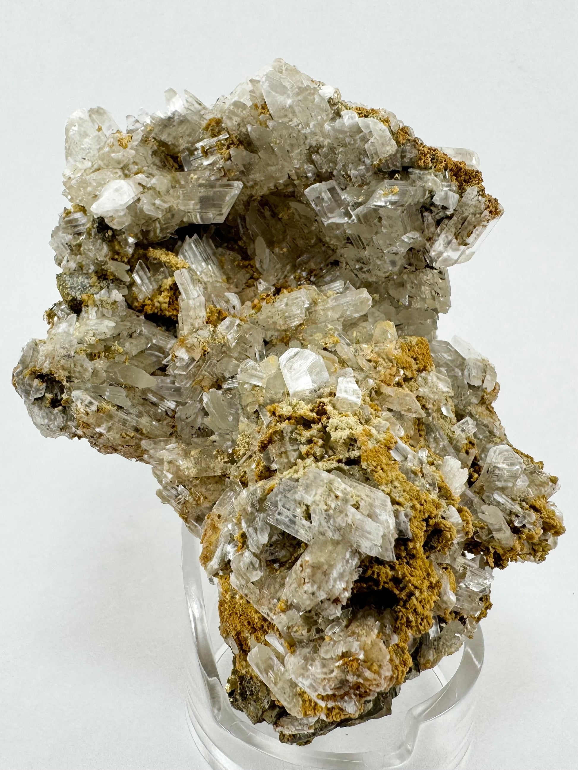 A side of a mineral specimen covered with selenite crystals angled in different directions. Near the center of the image several curved selenite crystals are visible.