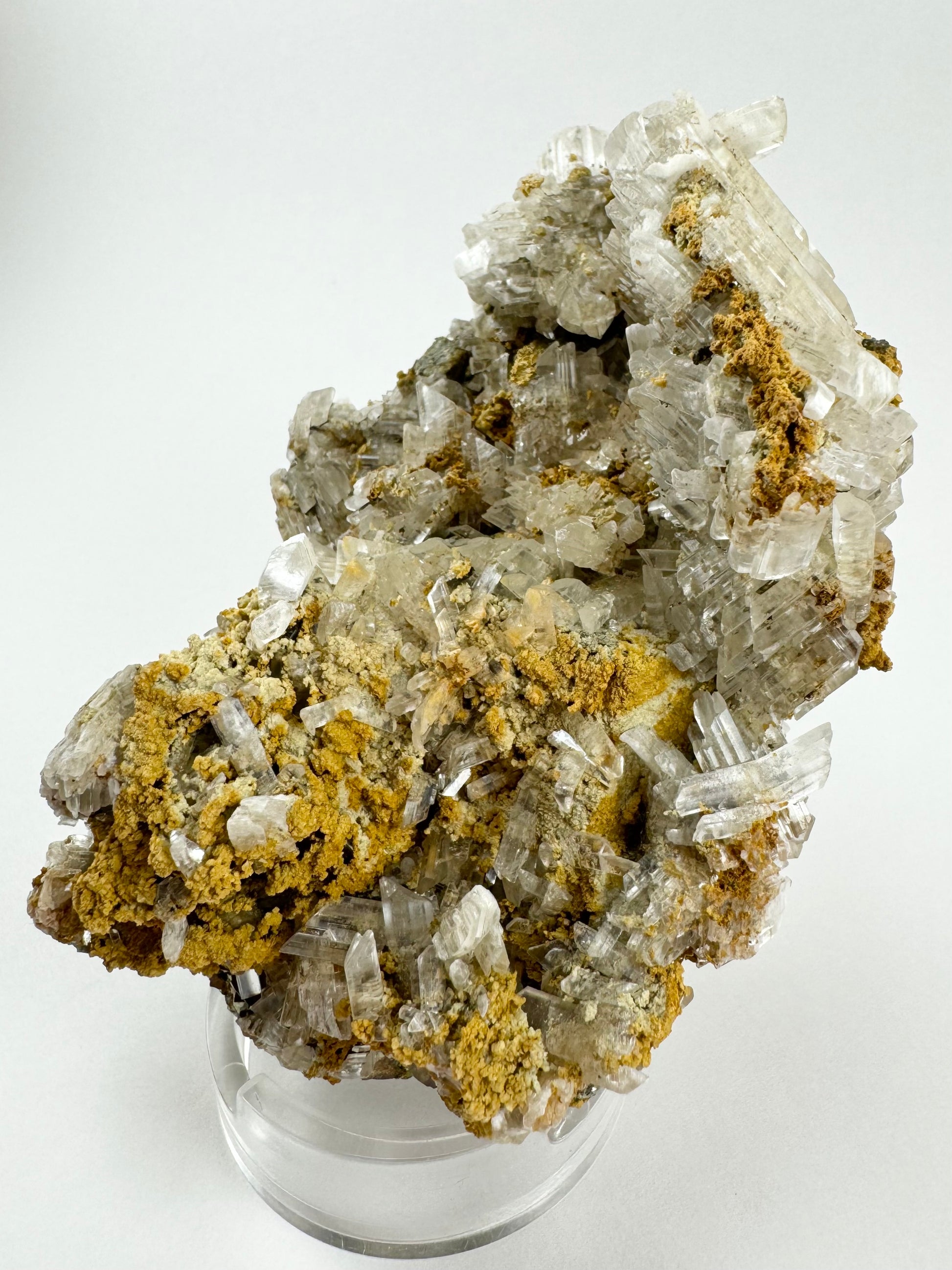 Side-view of the dozens of small selenite crystals, icy colorless with high luster. The siderite is lumpy and opaque