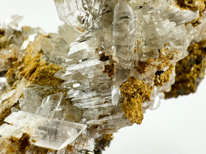 Detail of fine parallel selenite crystals reflecting light, with one split and splayed on the end