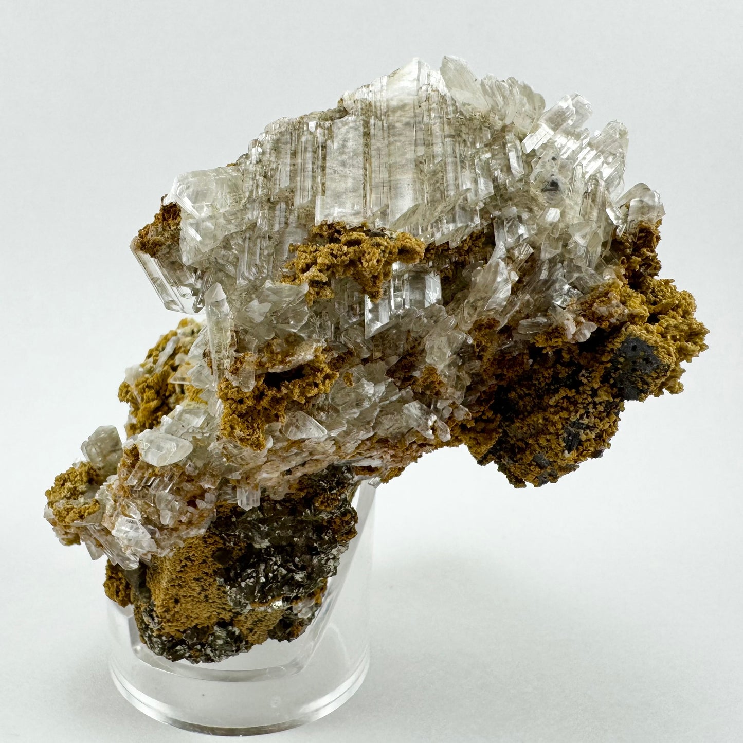 An irregularly-shaped mineral specimen composed of several minerals. At the top is a sheet of parallel thin flat selenite crystals. A crust of golden siderite grows on and between the selenite.