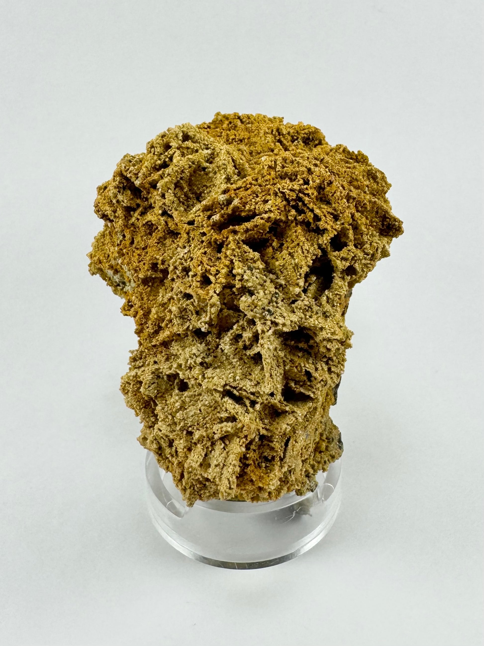 A mineral specimen covered with blade-like growth composed of small bumpy spots of siderite, with golden tan coloration.