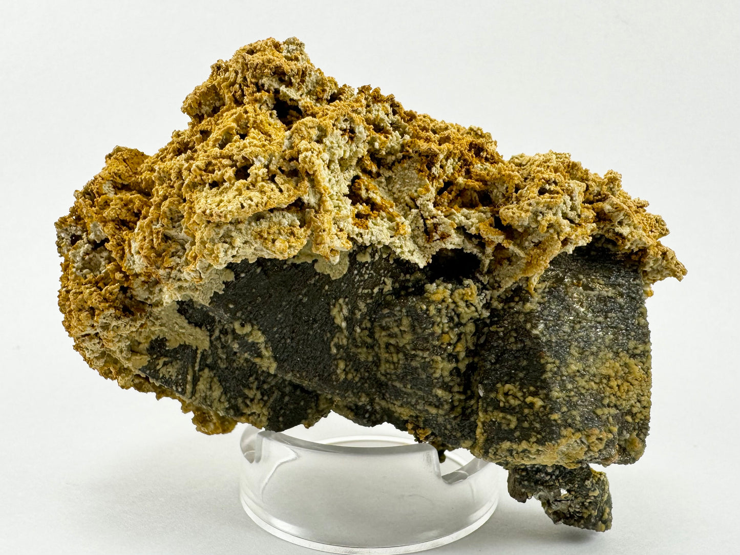 Side view with rough opaque bumpy siderite, a light tan and more vibrant golden color. It grows on a heavy dark base spotted with light mineral