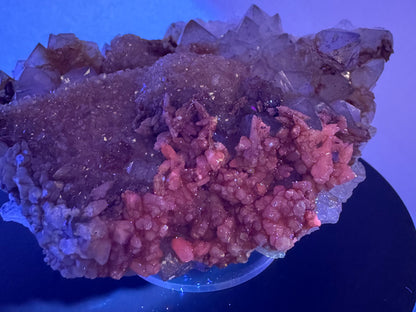 The calcite grains on the side of the specimen exposed to UV light, fluorescing and orange-red color.