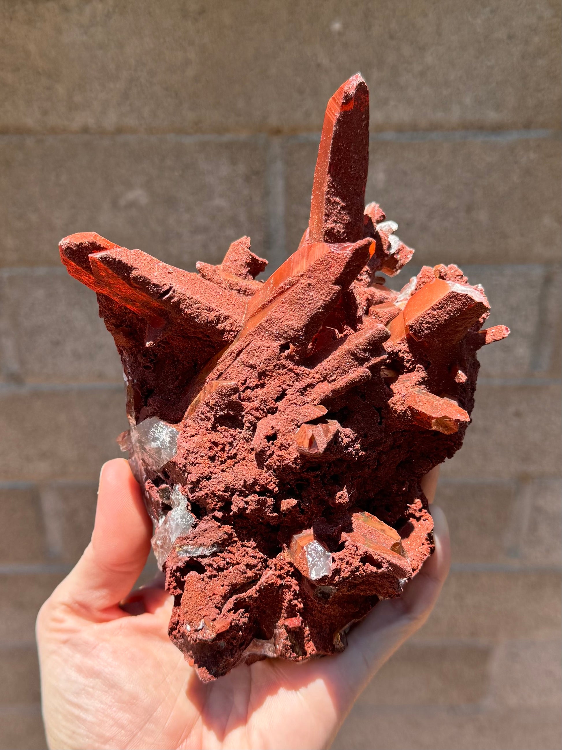 A large red quartz cluster with points angled out in different directions. This side of the piece is largely coated with an opaque bumpy matte red mineral.