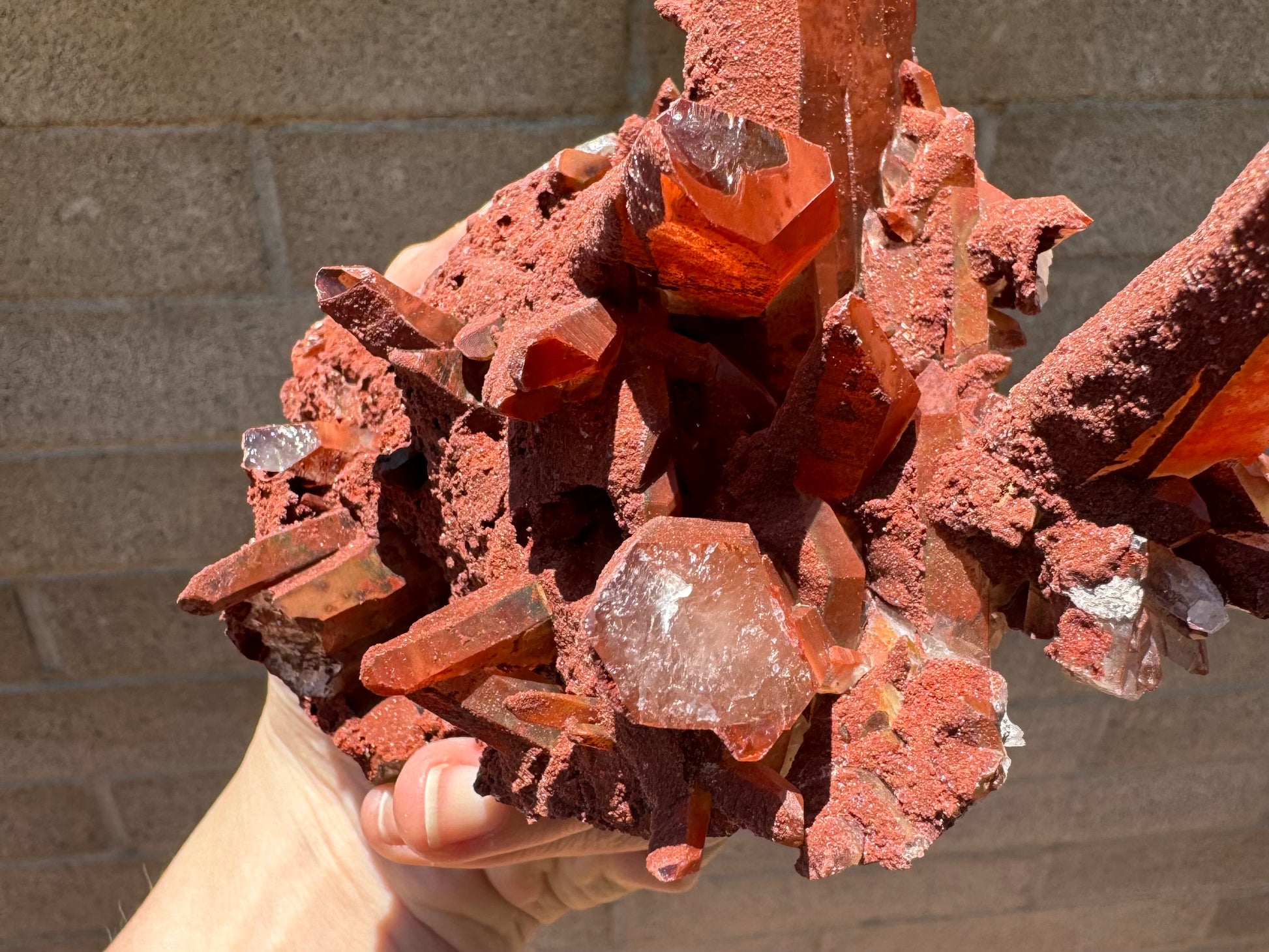 Detail of broken crystals in the middle of the cluster, revealing they are colorless inside with a layer of red coating the outside.