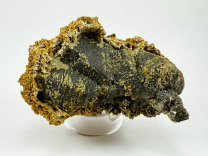 The base of the mineral, composed of several dark tapered hexagonal barrel forms. There are small spot yellow-tan minerals along planes on the outside, and they are covered with a filmy colorless layer of mineral growth.