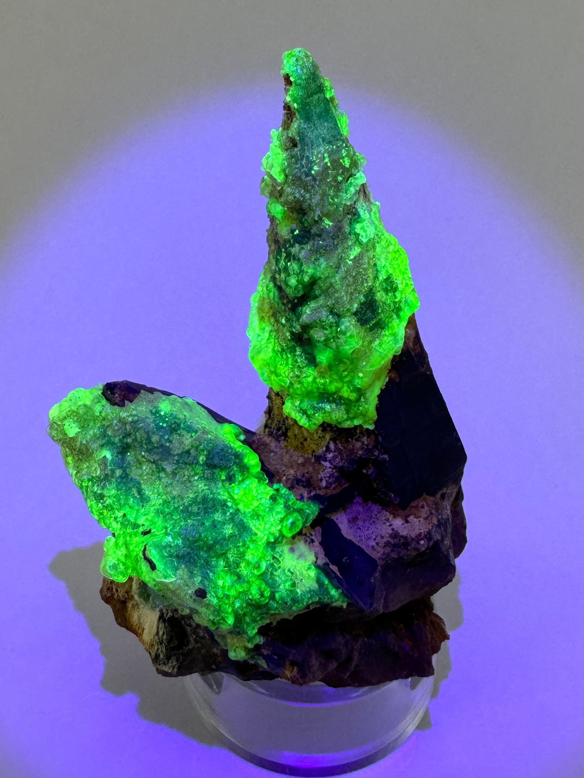 The third of three lighting images: the specimen in the same position as the previous image, in dim light and illuminated with UV light. The hyalite fluoresces a strong yellowish-green with light blue overtone.