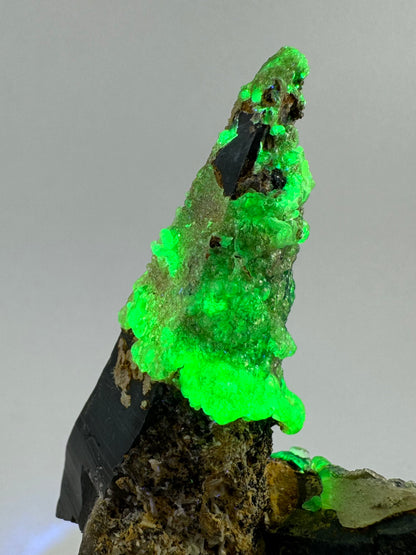 The second of two lighting images: the point in the same position as the previous image, in low lighting and illuminated with UV light. The hyalite fluoresces a strong yellowish-green.