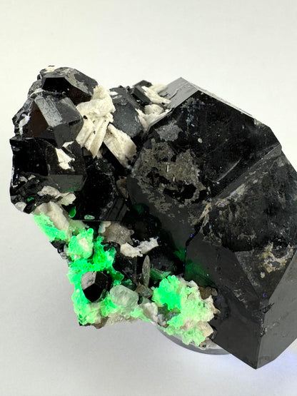 The specimen tilted to better show the cluster of minerals at the base. The base glows bright green, illuminated in UV light in full lighting. The surface of this side of the schorl is messy with a thin layer of overgrowth.