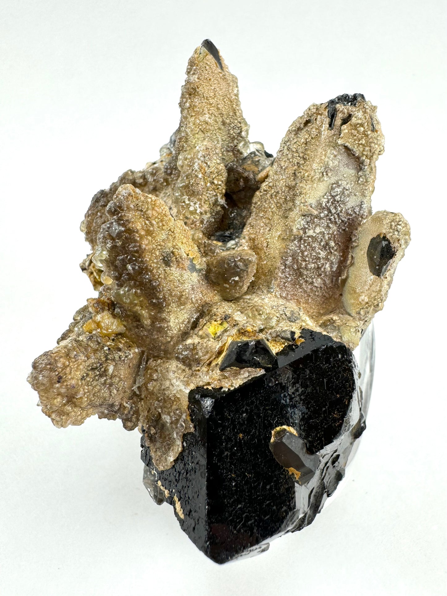 An angled view of the specimen showing the side of the schorl crystal is not straight but irregular.