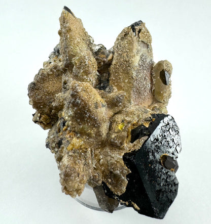 The first of two lighting images of the full specimen: a cluster of quartz points nearly completely covered in a thick crust of hyalite, near-colorless botryoidal growth over an opaque yellow-brown layer. There are four main crystals in the cluster, and they are attached to a large black tourmaline crystal partially coated in hyalite. The schorl has trigonal faces and a small smoky quartz in the side of one face.