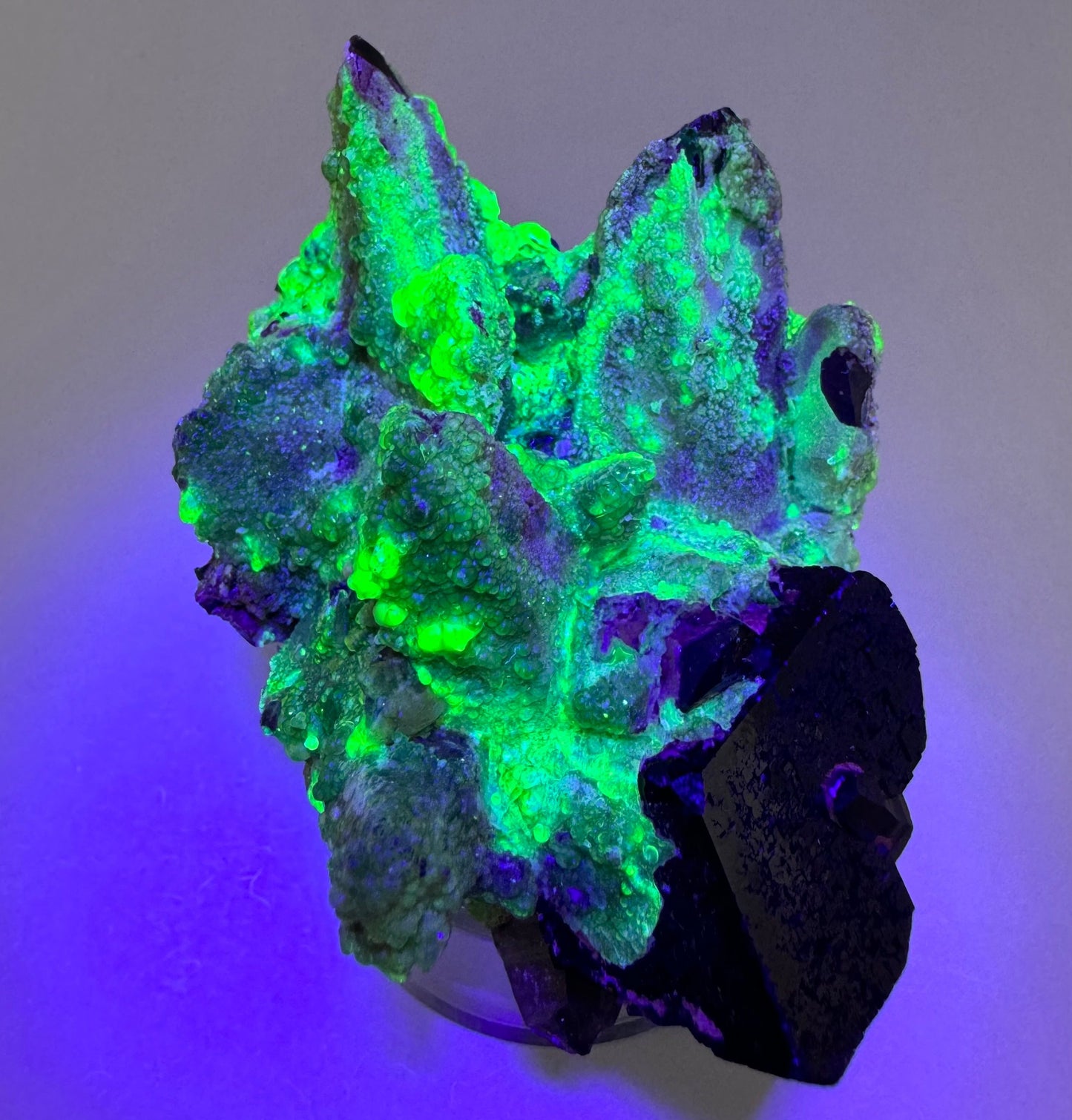 The second of two lighting images: the piece in the same position as the previous image, in the dim lighting and illuminated with blue-tinted UV light. The hyalite fluoresces a strong yellowish-green with icy blue overtone.