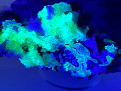 Detail of the fluorescent reaction under 395, a light green that is much brighter in the thicker areas of hyalite, and a light blue overtone. Thinner patches of hyalite have irregular rounded shapes on the surface.