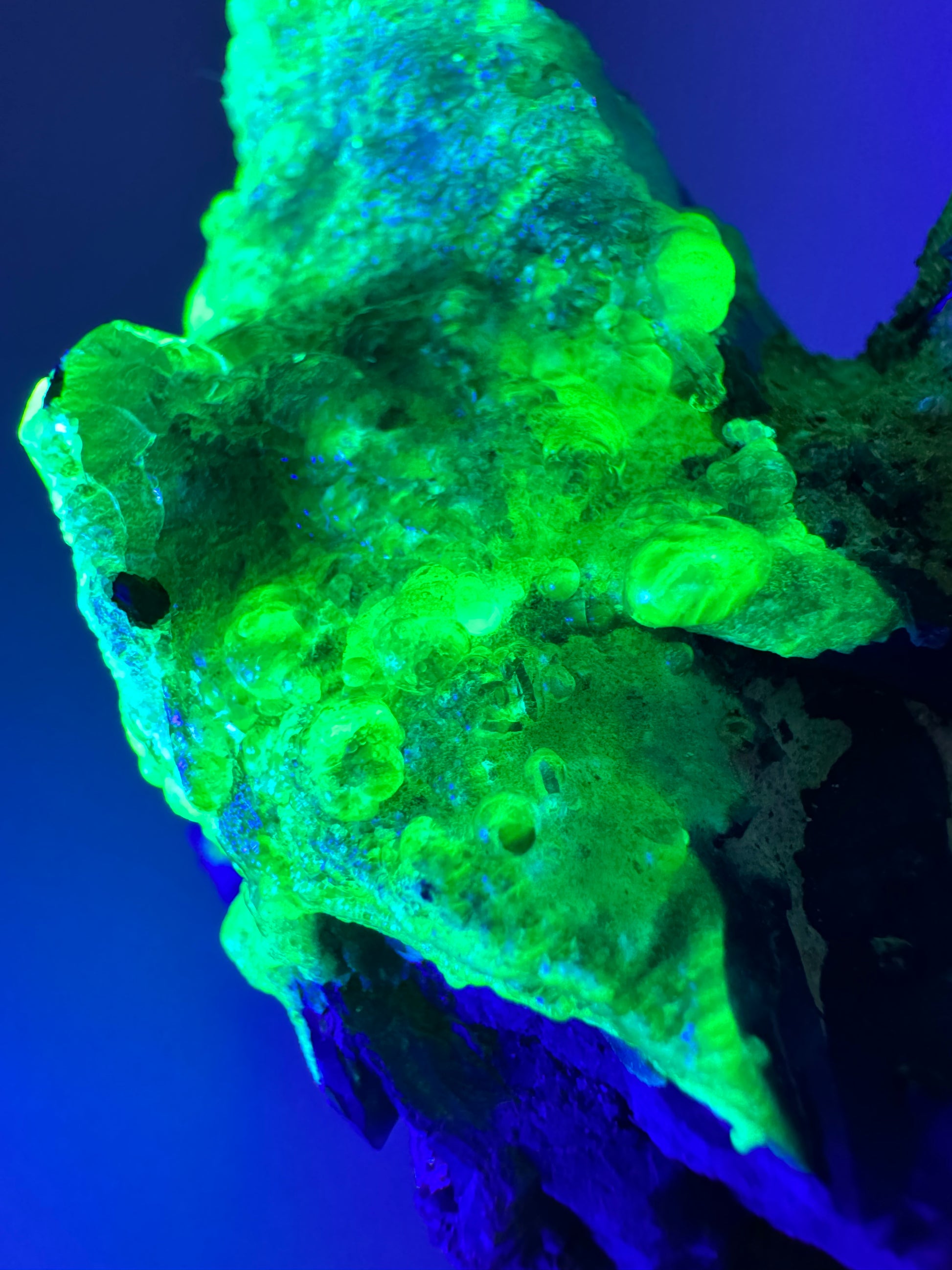 The second of two lighting images: the point in the same position as the previous image, in low lighting and illuminated with UV light. The hyalite fluoresces a strong yellowish-green  that is especially bright in the thicker growth. There is a light blue color to the thinner hyalite in the background.