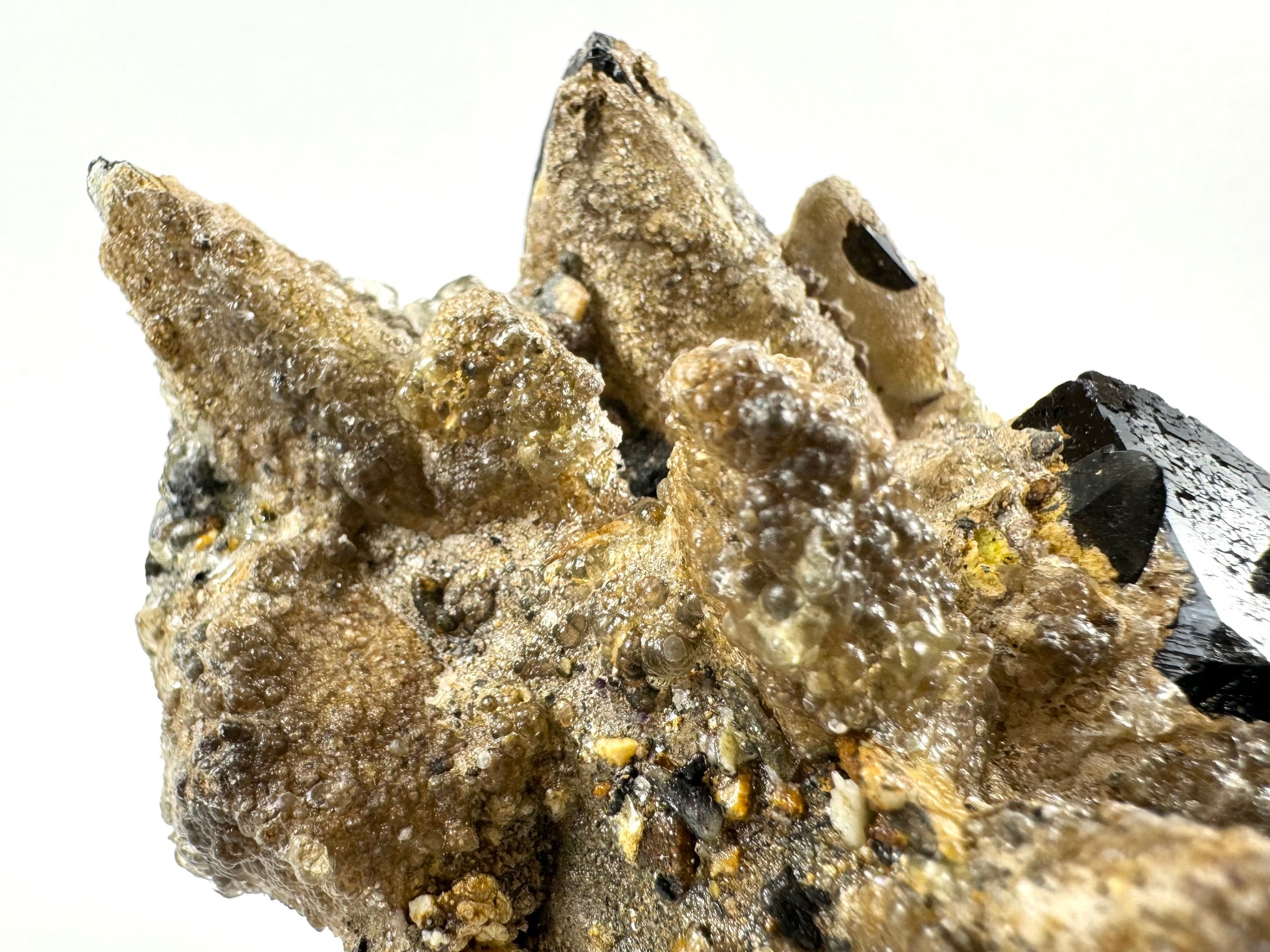 Detail of the dense hyalite growth on the smoky quartz, forming large spheres of shiny material in a crust over light yellow-brown opaque material.