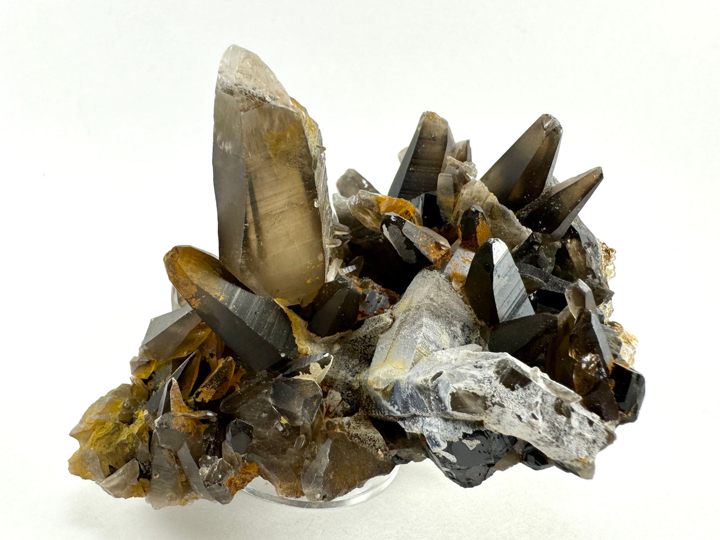 Full view of the specimen, tilted to view top side at an angle. The top is covered with smoky quartz crystals, with one main thick crystal and a half dozen moderately large points visible. A lot of the points have imperfect termination, either broken or not formed. Some of the crystals are coated in a white or orange-toned overgrowth.