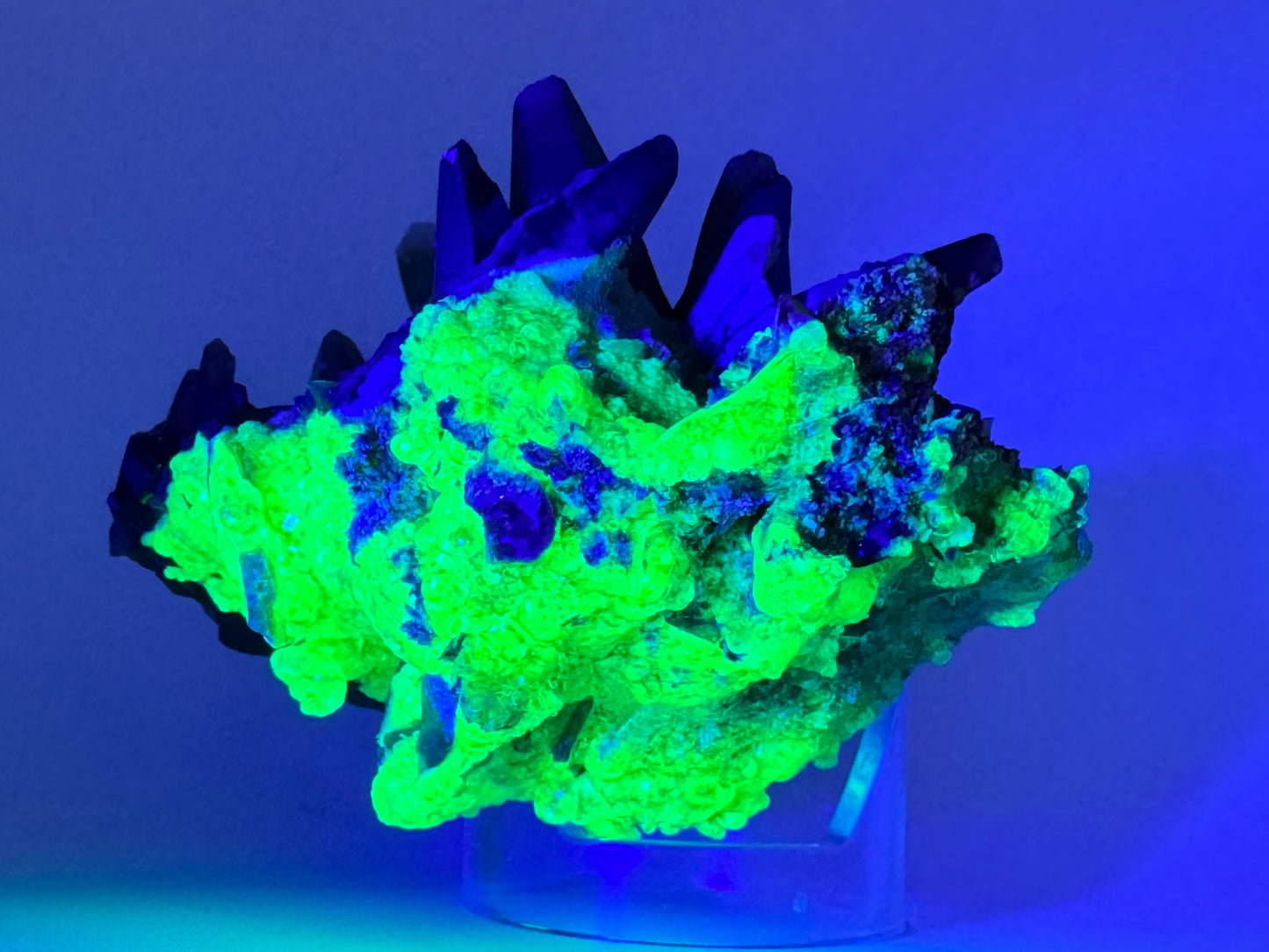 The first of two lighting images: an end of the specimen in the dark illuminated with blue-tinted UV light. The piece is tilted back to show the bottom, with the quartz points still visible jutting up at the top. The hyalite fluoresces a strong yellowish-green with icy blue overtone.