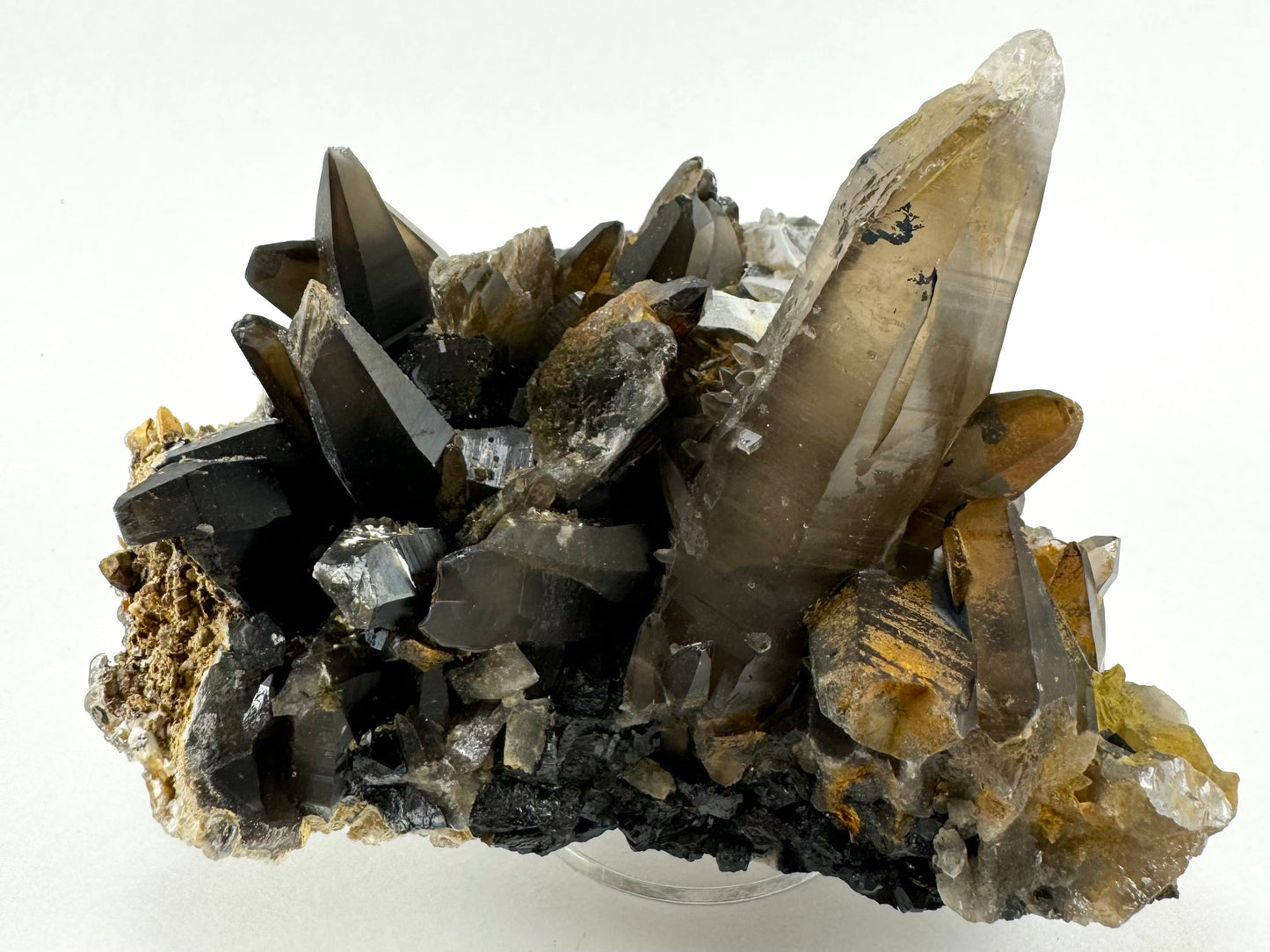 A better view of the large smoky quartz crystal, which has good light brown color and good translucency. The smaller crystals to the left are darker and more opaque, but well-formed. The large point is missing its tip, with growth turning into an irregular slant at the end. The crystal has good striations. There are several small smoky points growing perpendicularly from its surface.