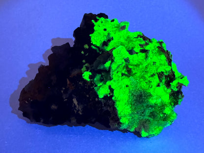 The third of three lighting images: the piece in the same position as the previous image, in the dark and illuminated with UV light. The hyalite fluoresces a strong yellowish-green, with the snowballs especially bright.