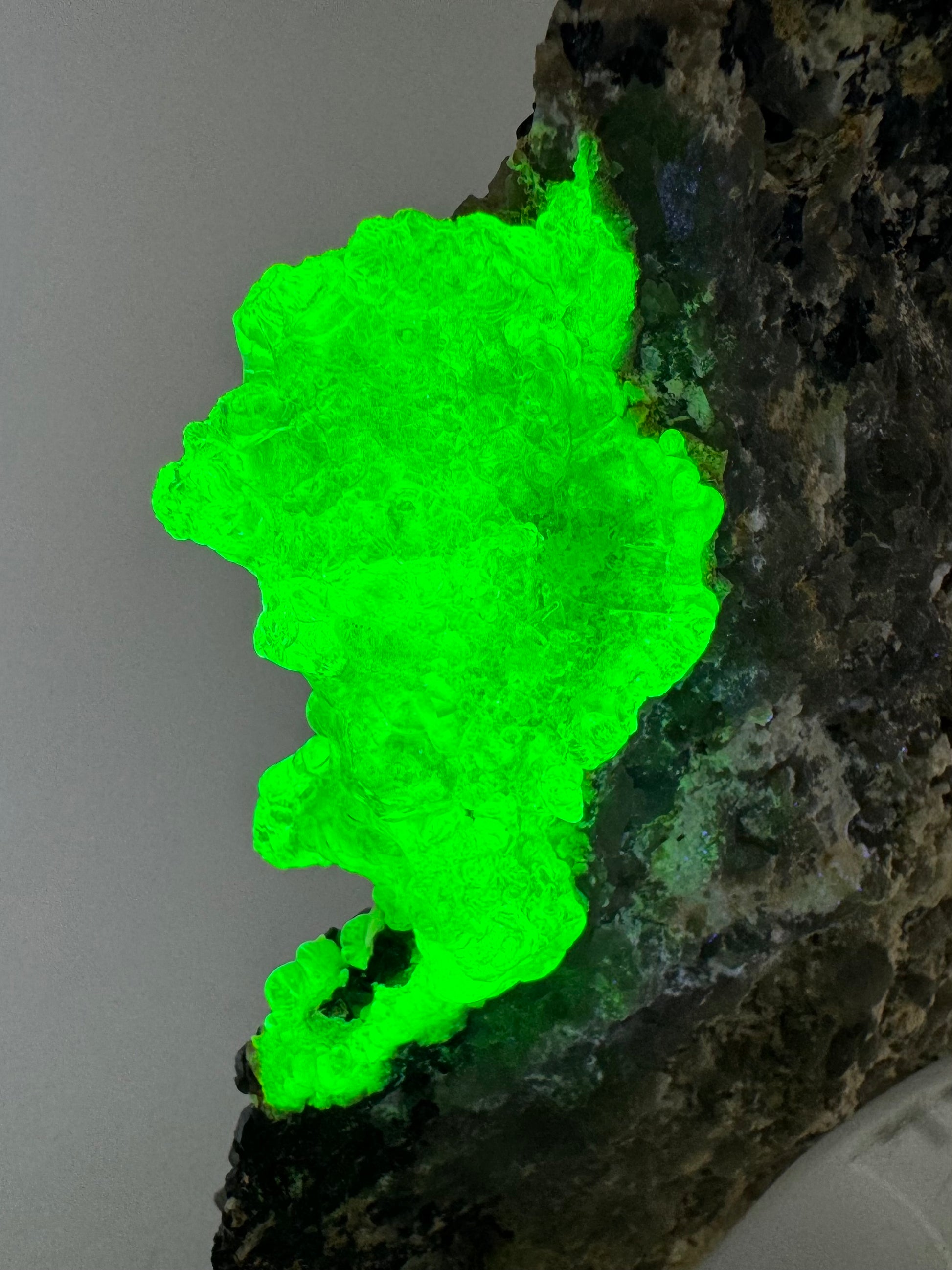 The specimen in the same position as the previous image, with the hyalite fluorescing a vibrant opaque yellow-green.